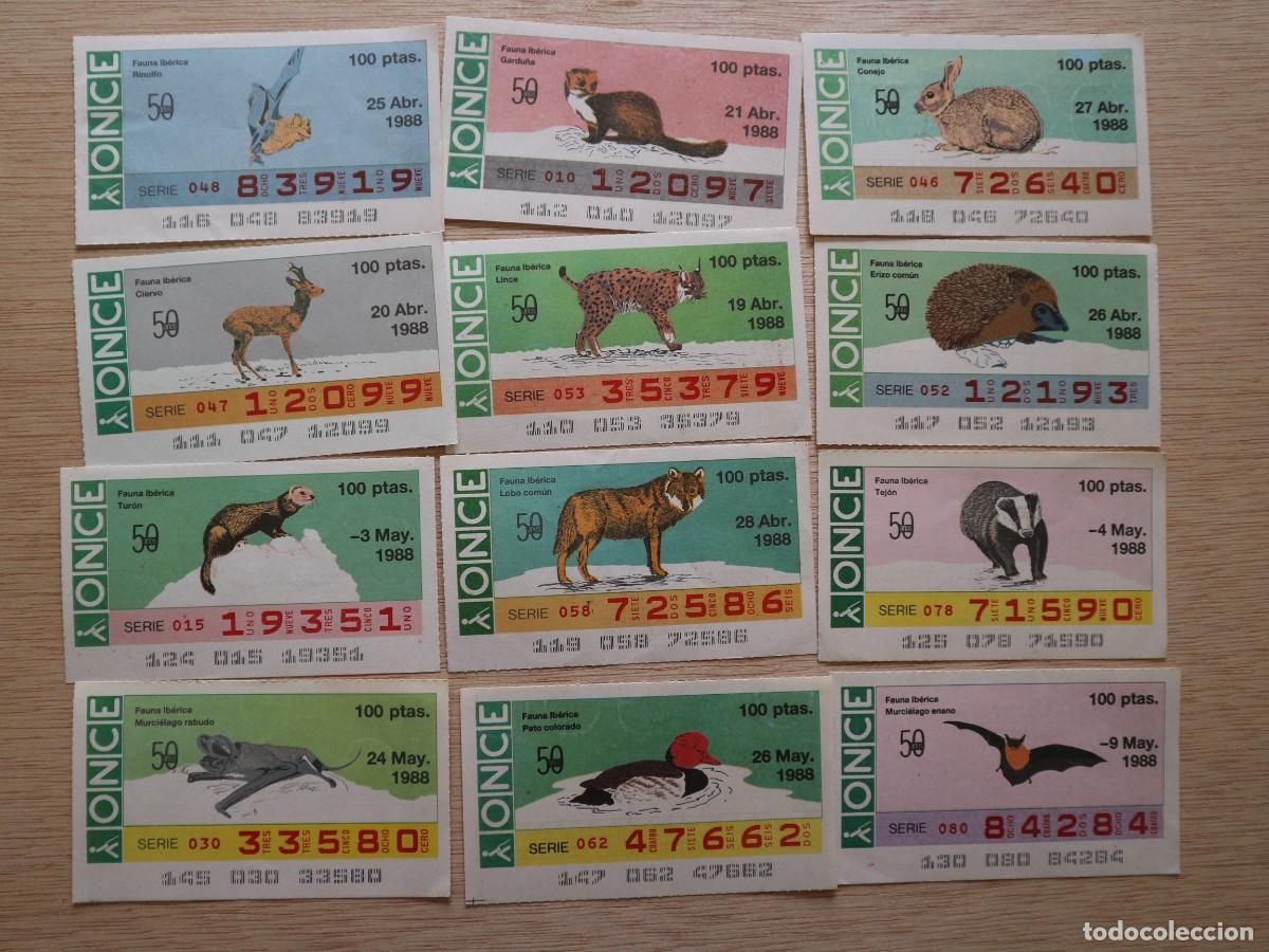 Cupones ONCE: LOTE DE 5 CUPONES DE LA ONCE FFAUNA IBERICA - Foto 2