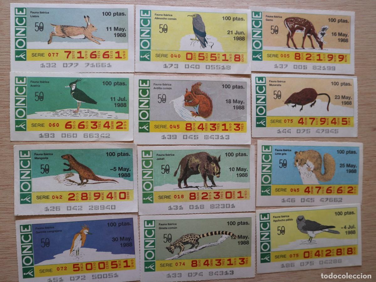 Cupones ONCE: LOTE DE 5 CUPONES DE LA ONCE FFAUNA IBERICA - Foto 3