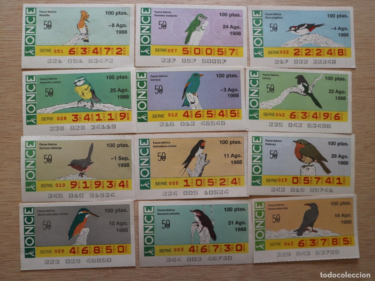 Cupones ONCE: LOTE DE 5 CUPONES DE LA ONCE FFAUNA IBERICA - Foto 5