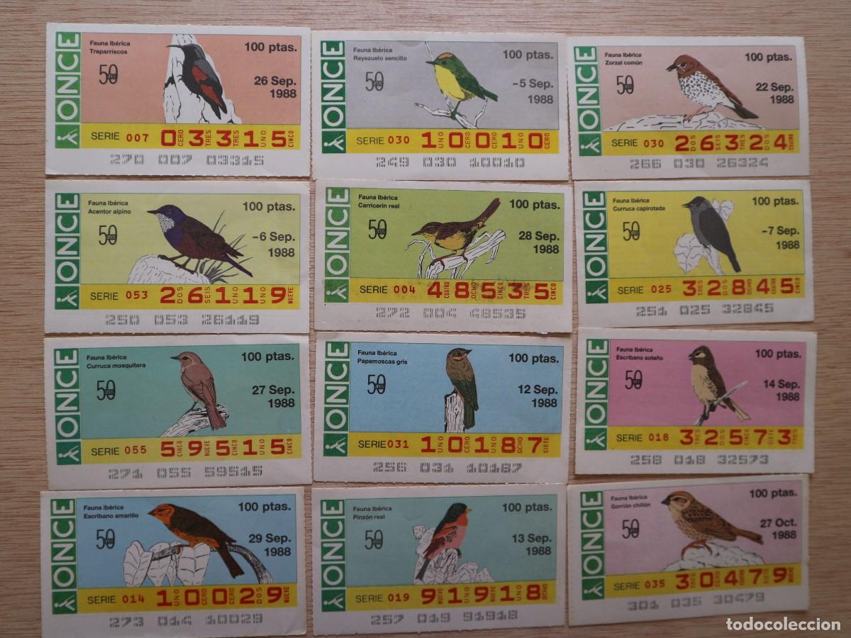 Cupones ONCE: LOTE DE 5 CUPONES DE LA ONCE FFAUNA IBERICA - Foto 6