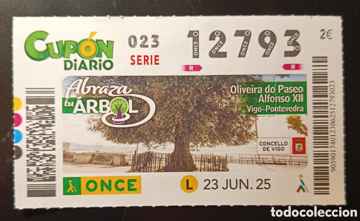Cupones ONCE: N&deg; 13793 (23/JUNIO/2025)-PONTEVEDRA - Foto 1