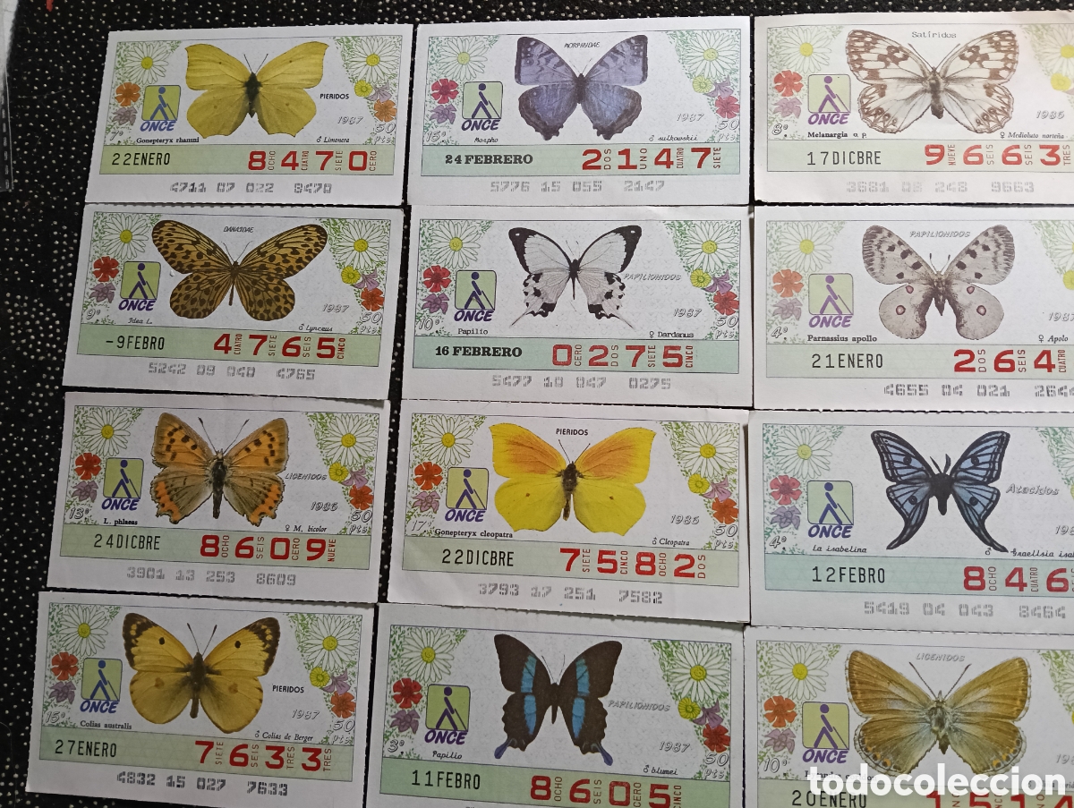 Cupones ONCE: 12 Cup&oacute;nes 1987 ONCE Tem&aacute;tico Mariposas - Foto 1
