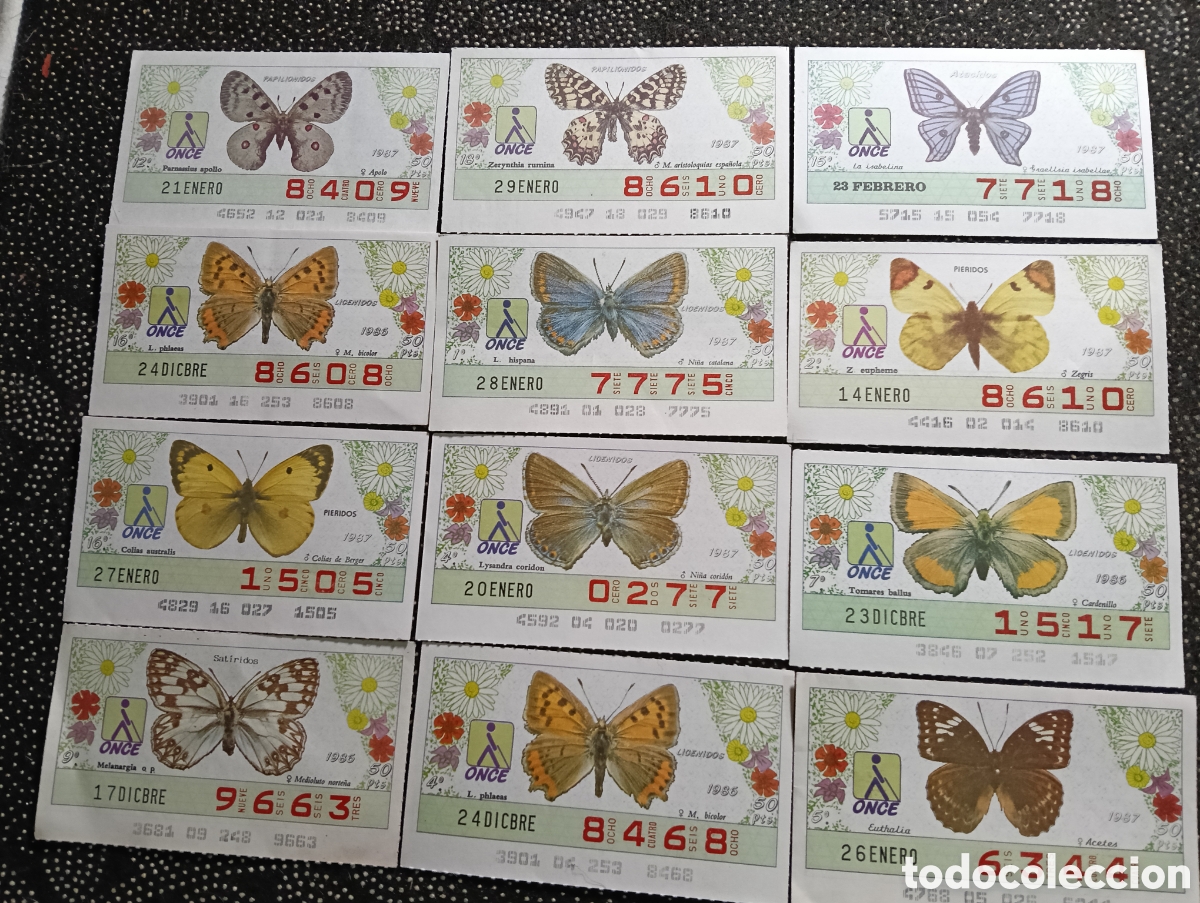 Cupones ONCE: 12 Cup&oacute;nes 1987 ONCE Tem&aacute;tico Mariposas - Foto 1