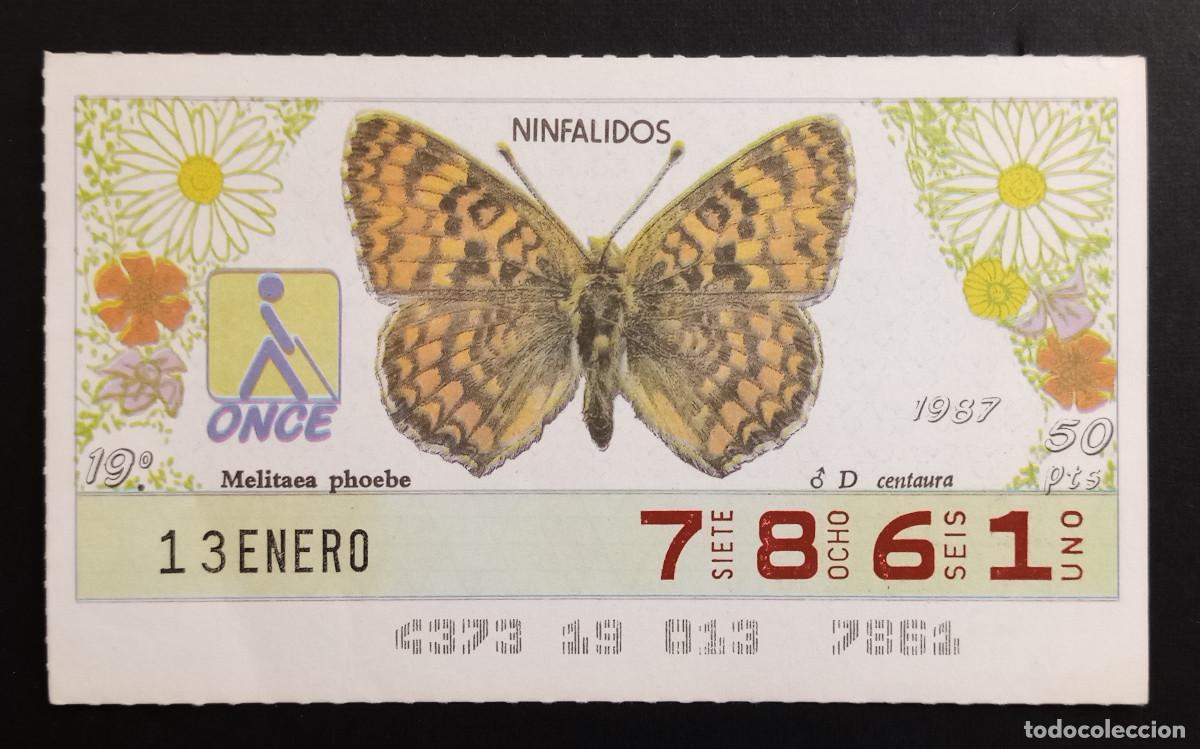 Cupones ONCE: CUP&Oacute;N ONCE - 13-ENERO-1987 - NINFALIDOS, D. CENTAURA