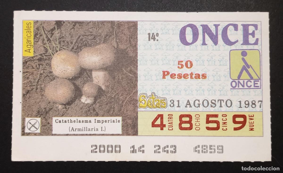 Cupones ONCE: CUP&Oacute;N ONCE - 31-AGOSTO-1987 - AGARICALES, CATATHELASMA IMPERIALE, ARMILLARIA