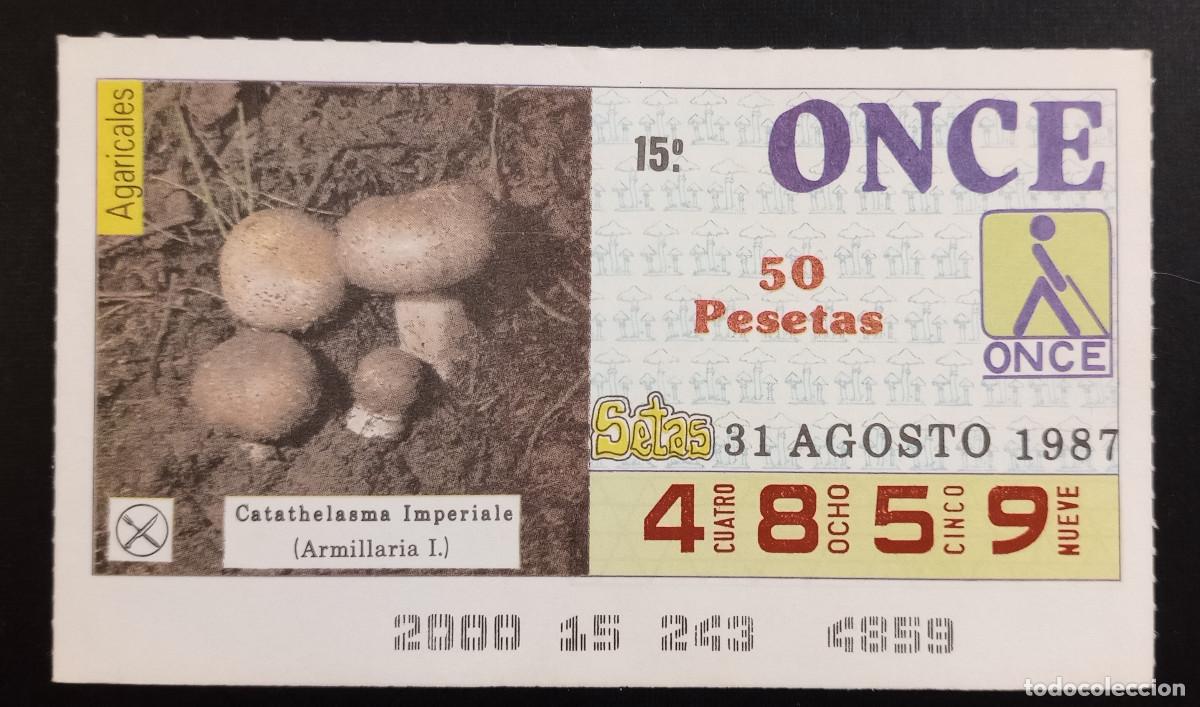 Cupones ONCE: CUP&Oacute;N ONCE - 31-AGOSTO-1987 - AGARICALES, CATATHELASMA IMPERIALE, ARMILLARIA