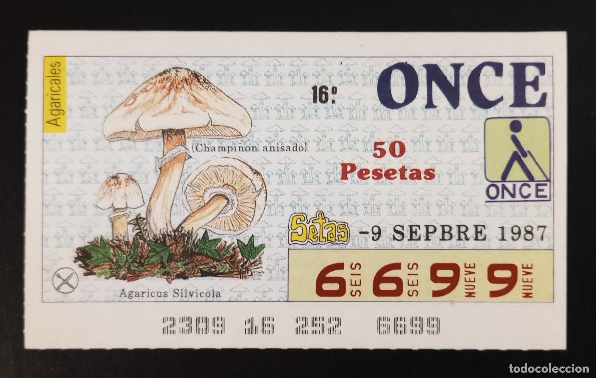 Cupones ONCE: CUP&Oacute;N ONCE - 9-SEPTIEMBRE-1987 - AGARICALES, CHAMPI&Ntilde;ON ANISADO