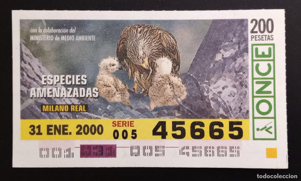 Cupones ONCE: CUP&Oacute;N ONCE - 31-ENERO-2000 - ESPECIES AMENZADAS, MILANO REAL