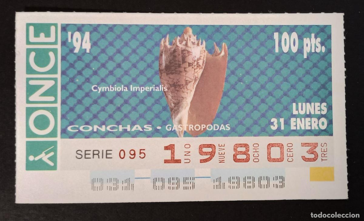 Cupones ONCE: CUP&Oacute;N ONCE - 31-ENERO-1994 - CONCHAS, GASTROPODAS, CYMBIOLA IMPERIALIS