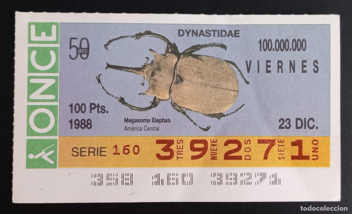Coupon ONCE: CUP&Oacute;N ONCE - 23-DICIEMBRE-1988 - DYNASTIDAE, MEGASOMA ELEPHAS, AM&Eacute;RICA CENTRAL