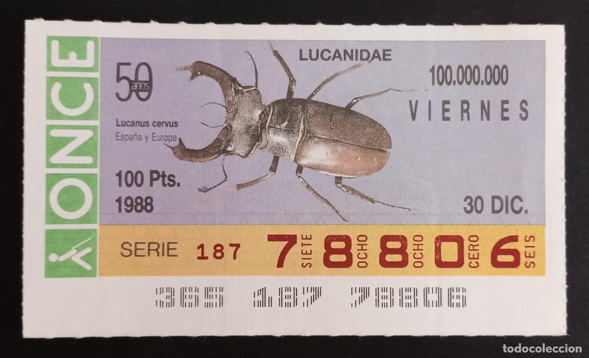Coupon ONCE: CUP&Oacute;N ONCE - 30-DICIEMBRE-1988 - LUCANIDAE, LUCANUS CERVUS, ESPA&Ntilde;A Y EUROPA