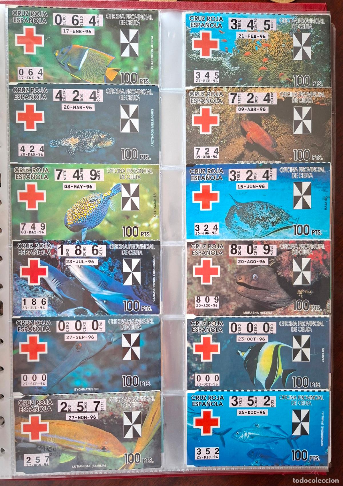 Cupones ONCE: A&Ntilde;O 1996 COMPLETO LOTER&Iacute;A CRUZ ROJA DE CEUTA.