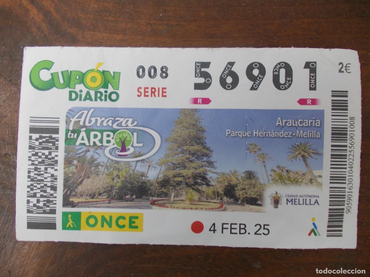 Bilhetes ONCE: cupon diario once 4 febrero 2025 abraza tu arbol Araucaria Parque Hernandez Melilla geografia turism