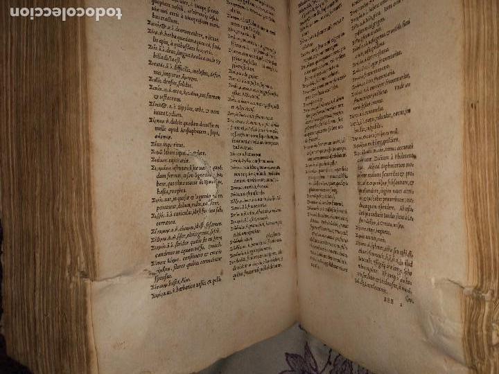 Diccionarios antiguos: Libro de 1539. Lexicon Graecum. Basileae - Foto 8