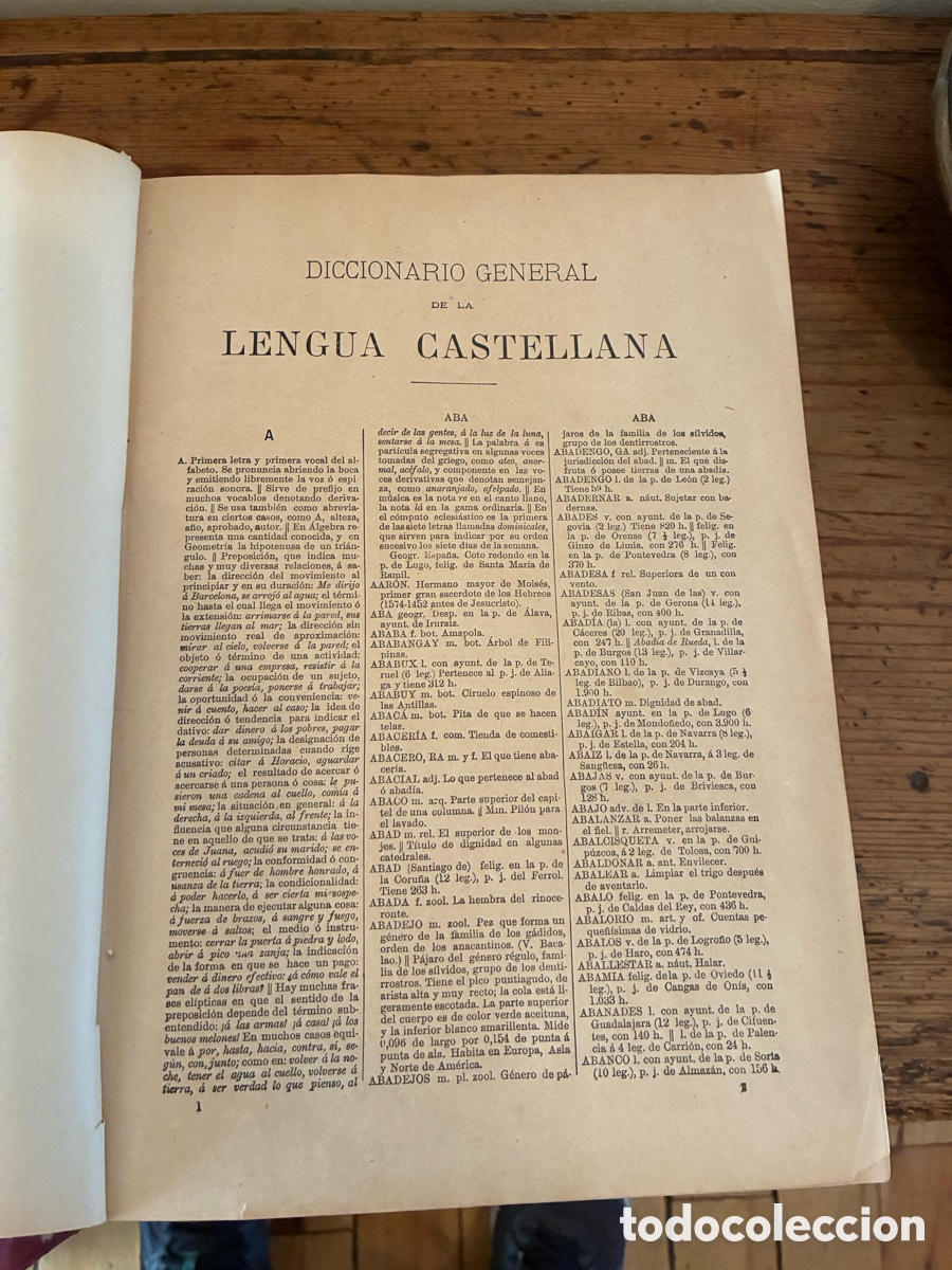 Diccionarios antiguos: Diccionario enciclop&eacute;dico de la lengua castellana , la geograf&iacute;a espa&ntilde;ola y de historia natural