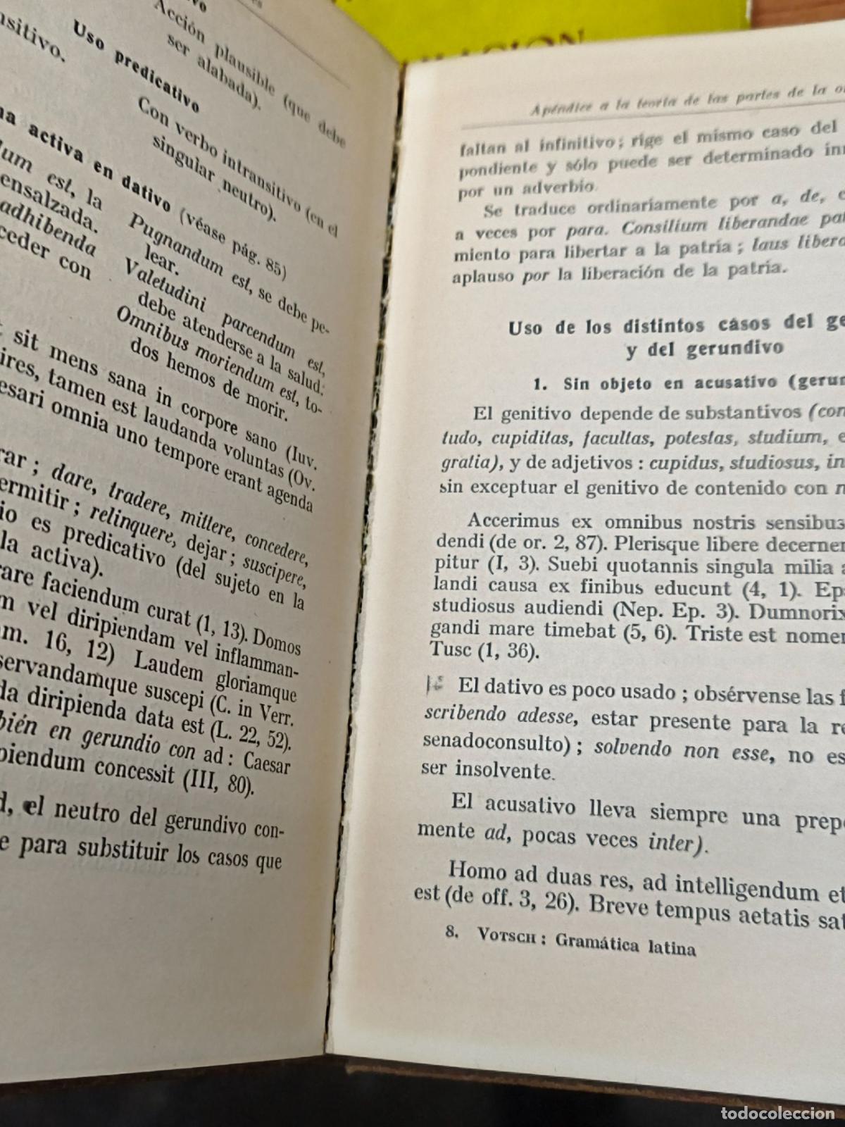 Diccionarios antiguos: Gram&aacute;tica Latina - Prof. Dr. W. Votsch - Editorial Labor - Foto 2