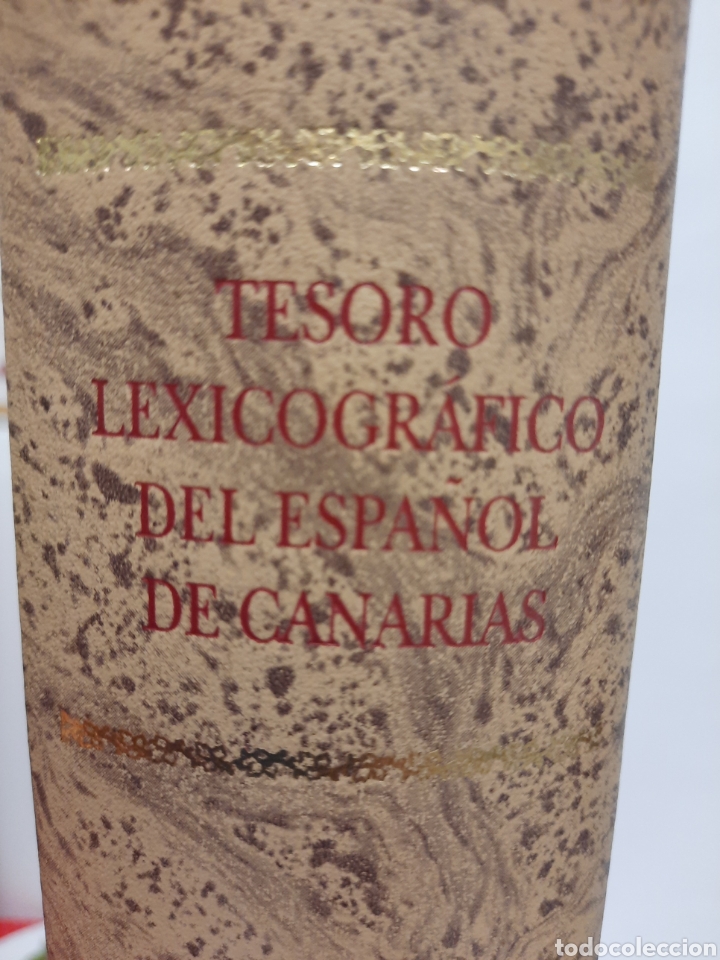 Diccionarios: Tesoro lexicogr&aacute;fico del espa&ntilde;ol en Canarias. Nuevo - Foto 3