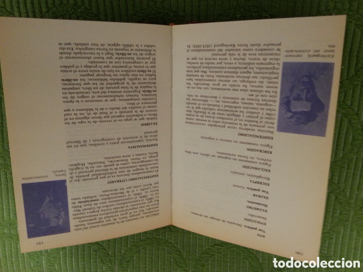 Diccionarios: Diccionario de T&eacute;rminos Literarios - Foto 3