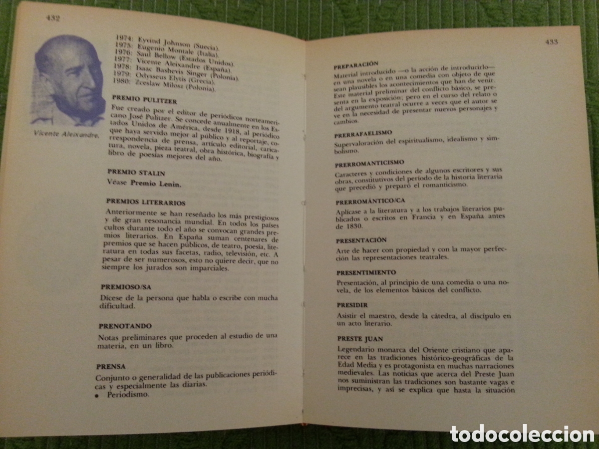 Diccionarios: Diccionario de T&eacute;rminos Literarios - Foto 6