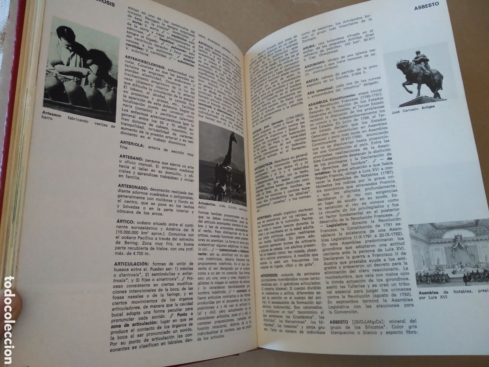 Diccionarios: LIBRO ENCICLOPEDIA DIDACTICA UNIVERSAL VOX 4 PARTE 1 - Foto 3