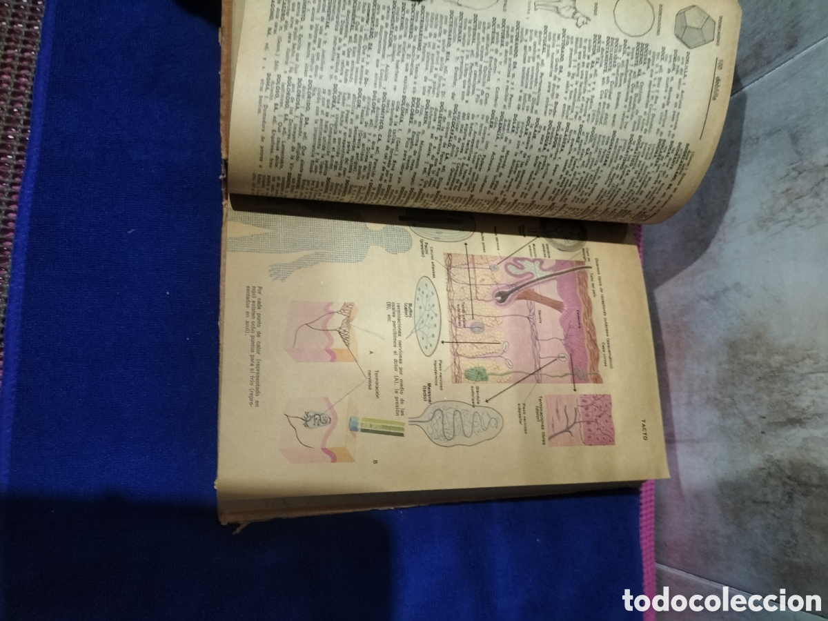 Diccionarios: Rances, diccionario ilustrado . - Foto 7
