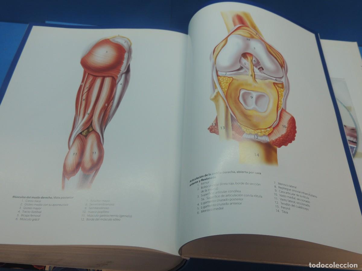 Diccionarios: DICCIONARIO M&Eacute;DICO ILUSTRADO. - Foto 17