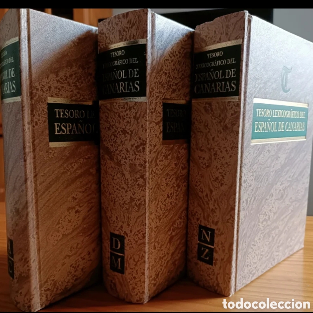Diccionarios: Tesoro lexicogr&aacute;fico del espa&ntilde;ol de Canarias - Foto 2