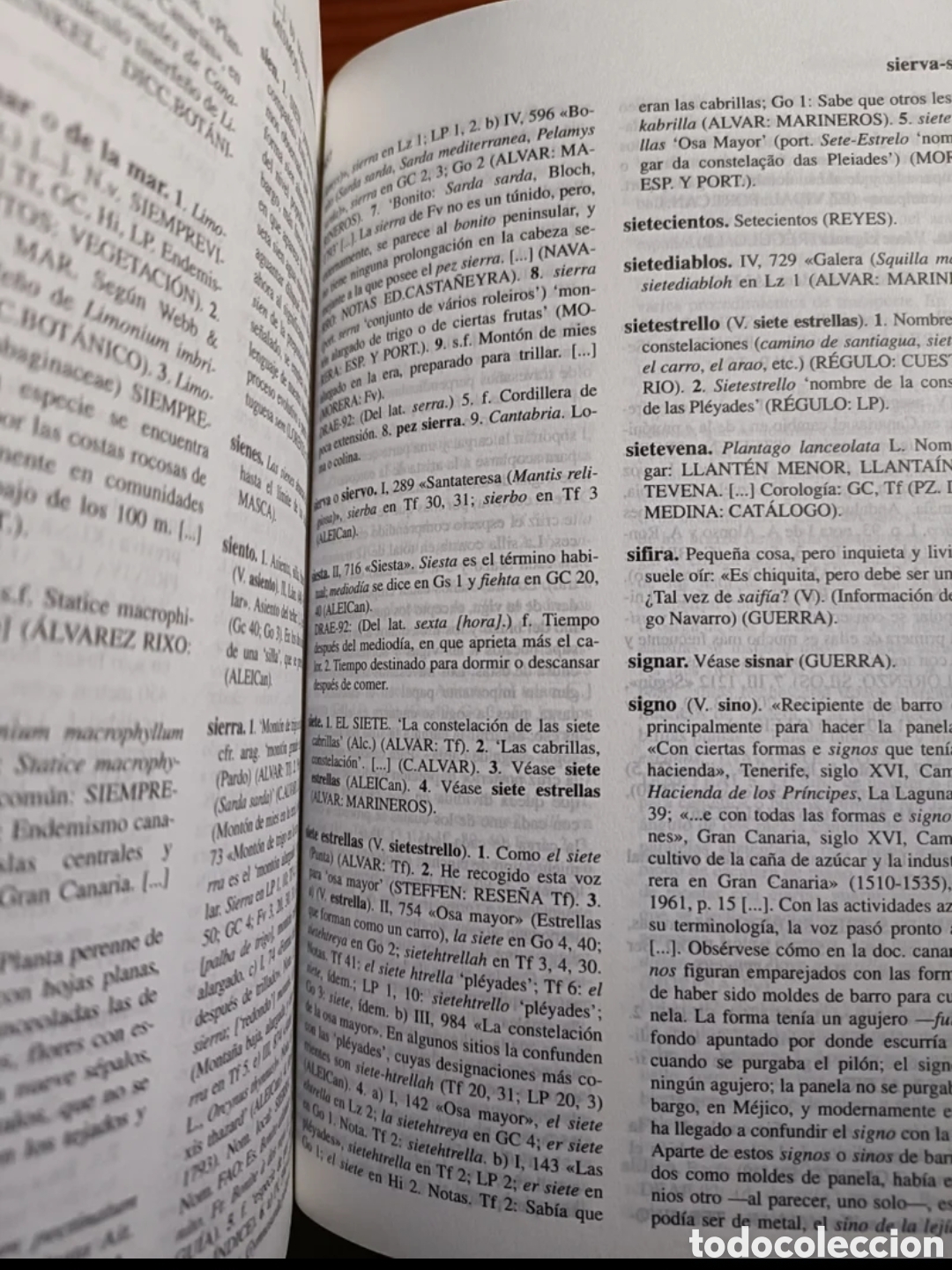Diccionarios: Tesoro lexicogr&aacute;fico del espa&ntilde;ol de Canarias - Foto 5