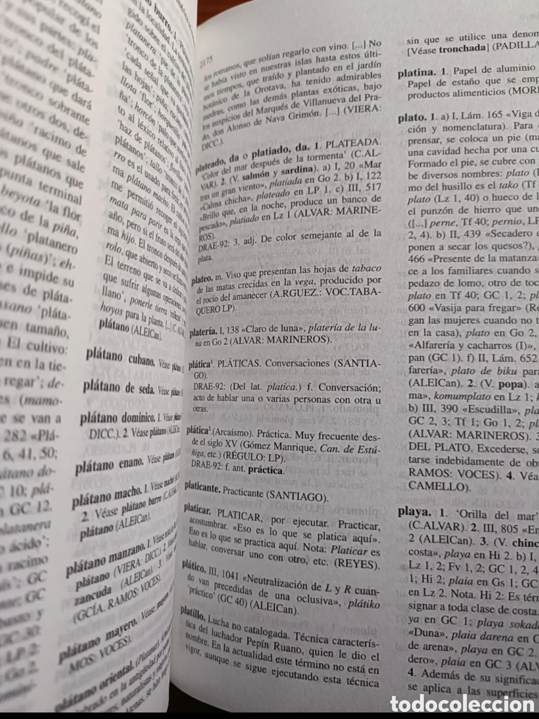 Diccionarios: Tesoro lexicogr&aacute;fico del espa&ntilde;ol de Canarias - Foto 6
