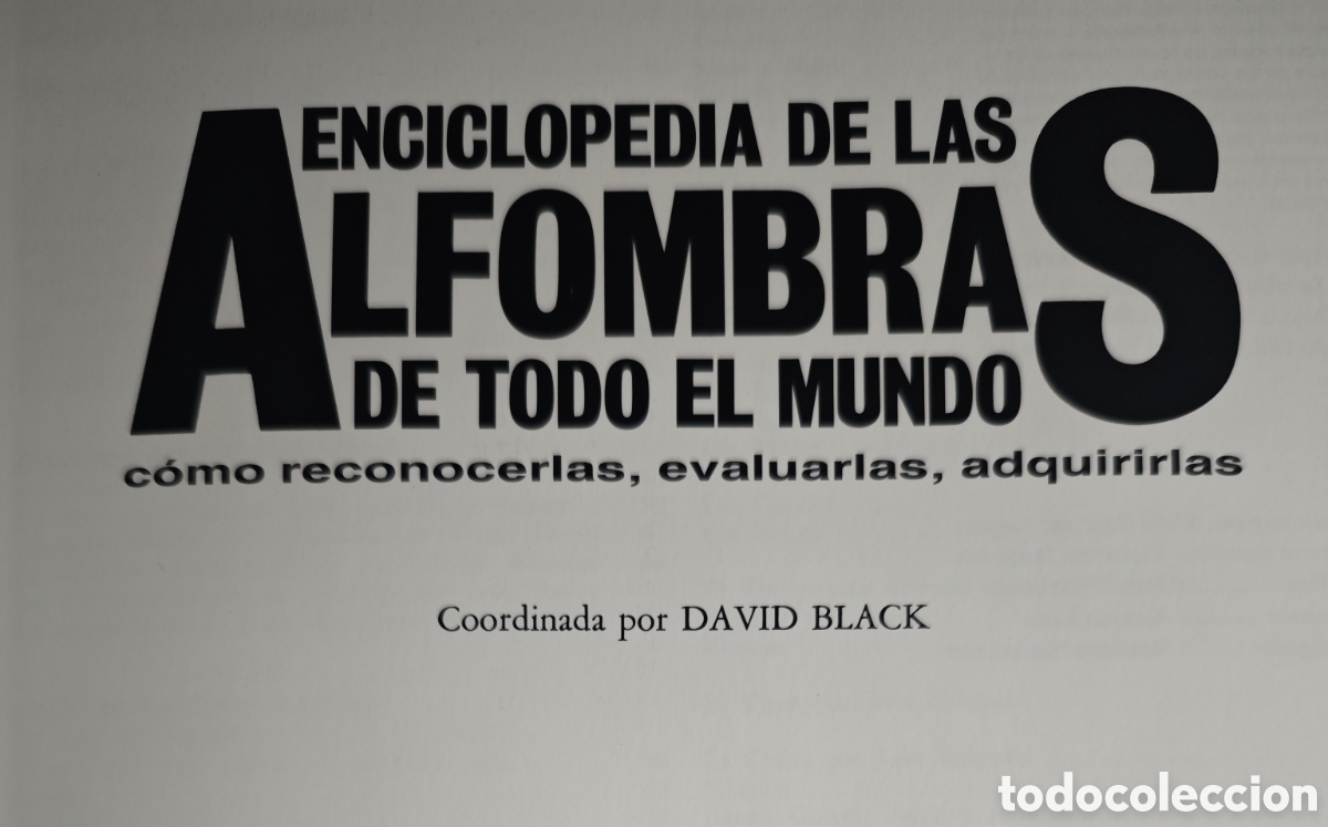 Diccionarios: ENCICLOPEDIA DE LAS ALFOMBRAS - Foto 2