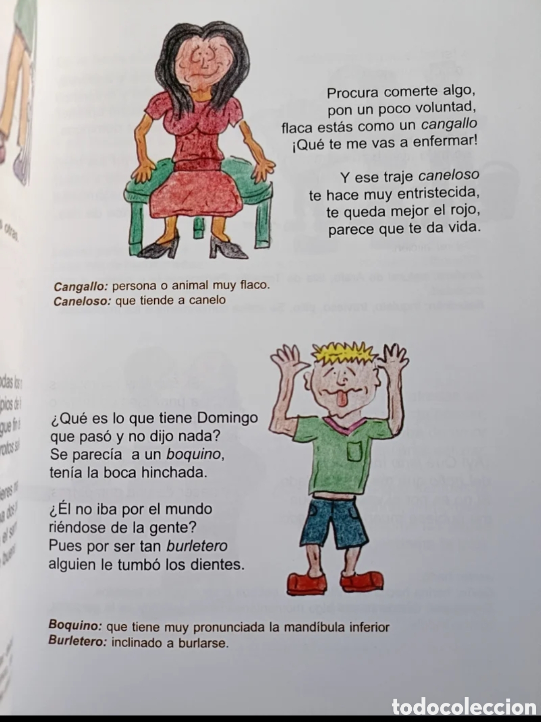 Diccionarios: Senderos de mi habla - Foto 4