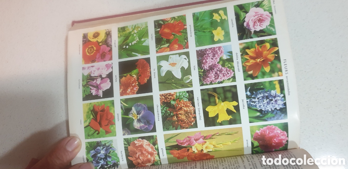 Diccionarios: Petit Larousse illustr&eacute;. - Foto 12