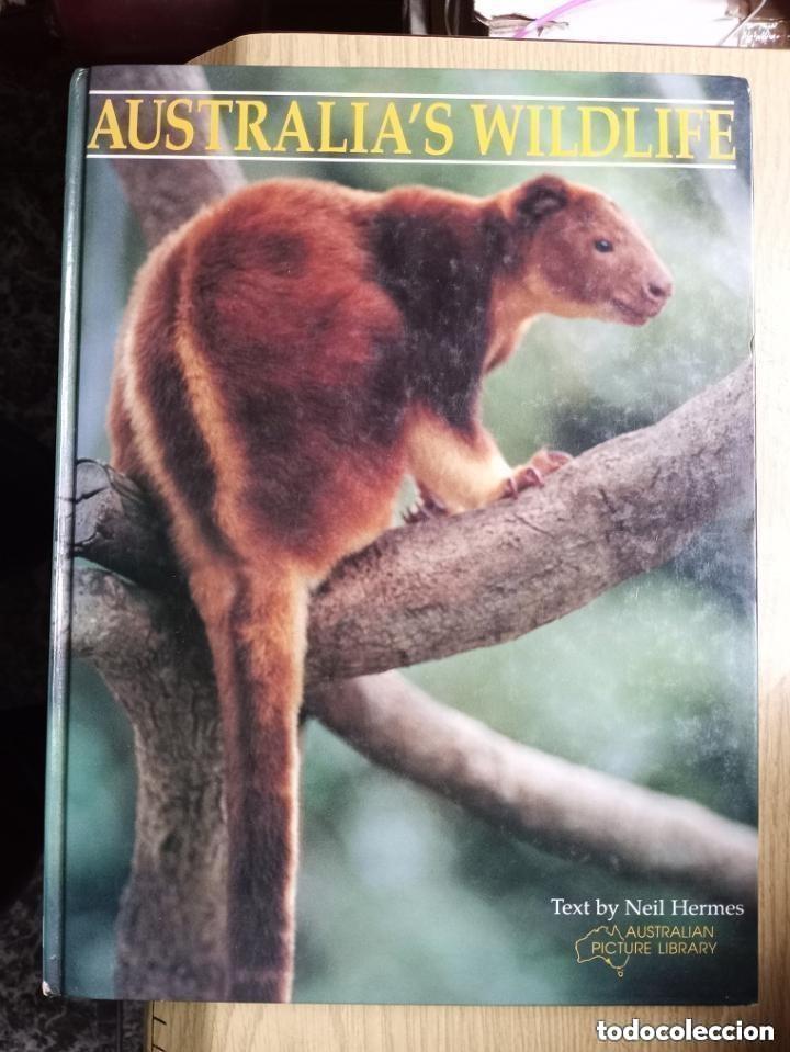 Diccionarios: AUSTRALIA&acute;S WILDLIFE -- libro en ingles - Foto 1