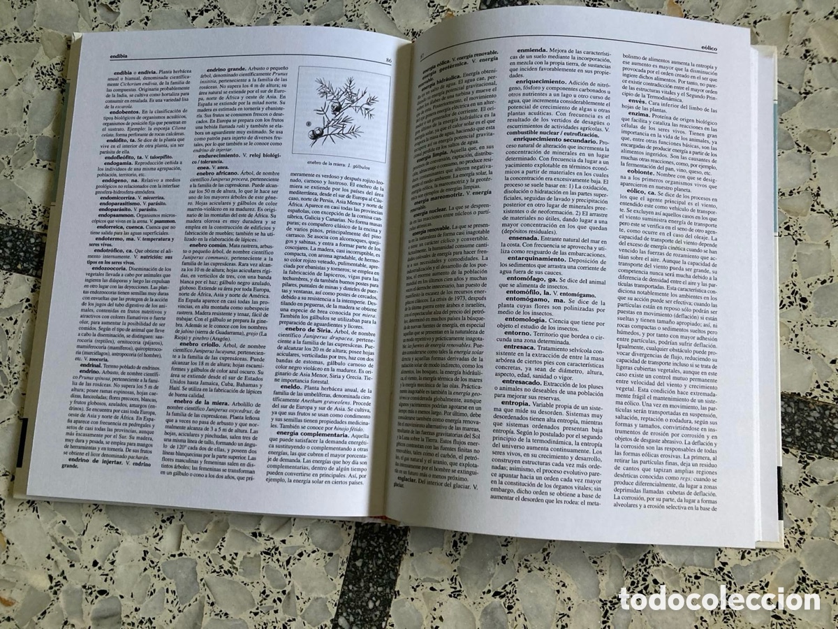 Diccionarios: Diccionario de la naturaleza - Foto 5