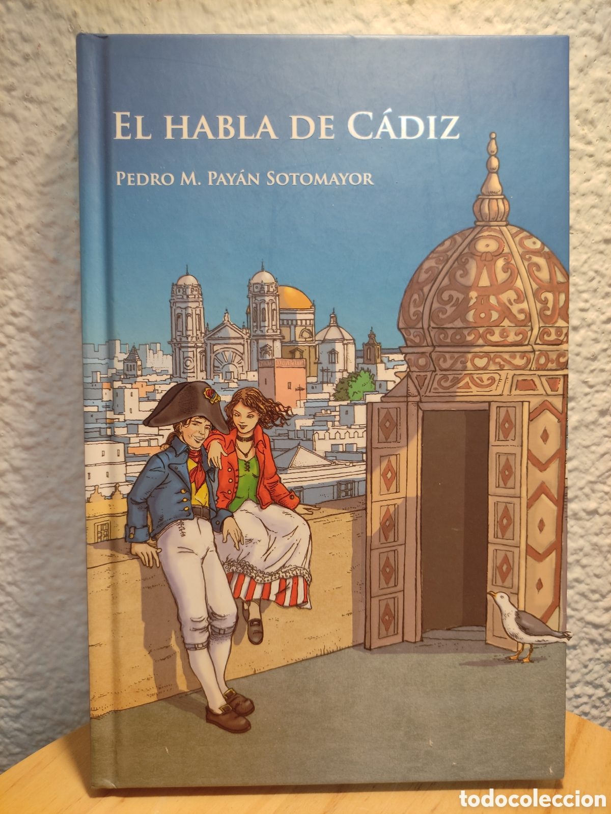 Diccionarios: El habla de C&aacute;diz diccionario popular lengua espa&ntilde;ola