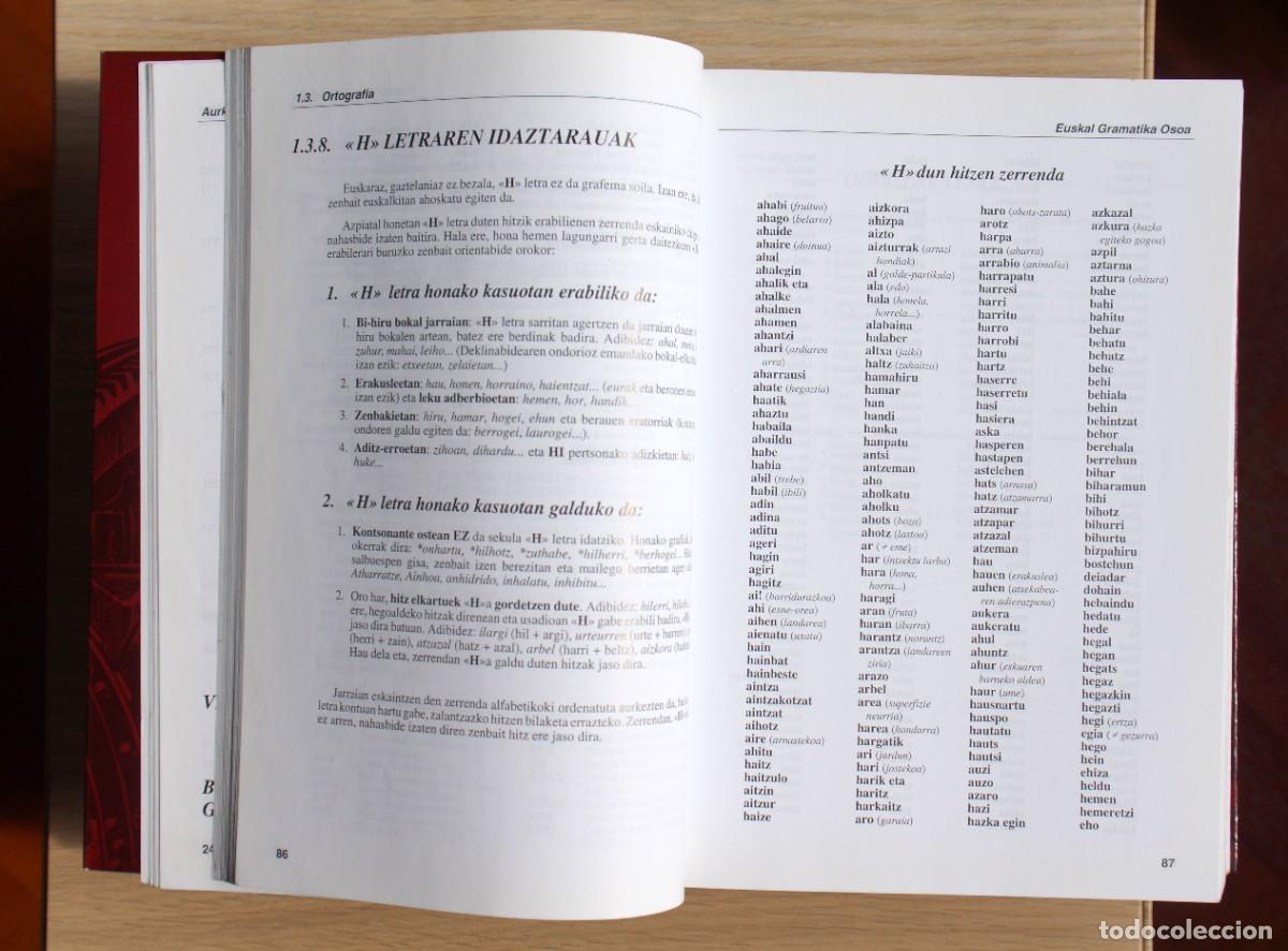 Diccionarios: Euskal Gramatika Osoa - Foto 9