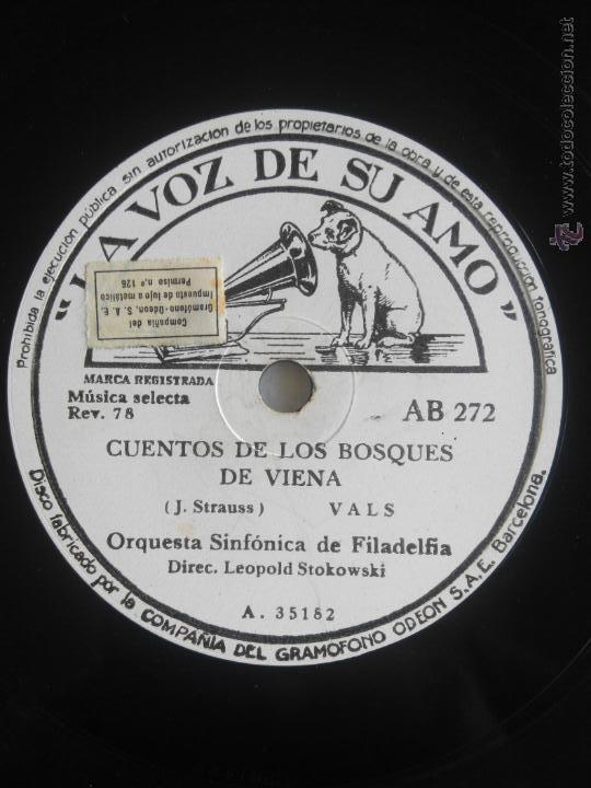 Discos de pizarra: Danubio azul. Cuentos de los bosques de Viena - Foto 1
