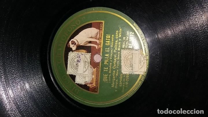 Discos de pizarra: Guarani - Foto 3