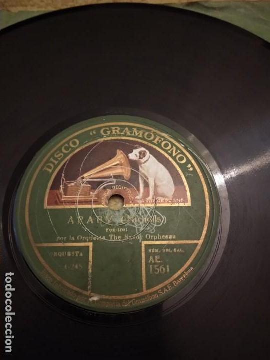 Discos de pizarra: Fox Trot - Foto 2