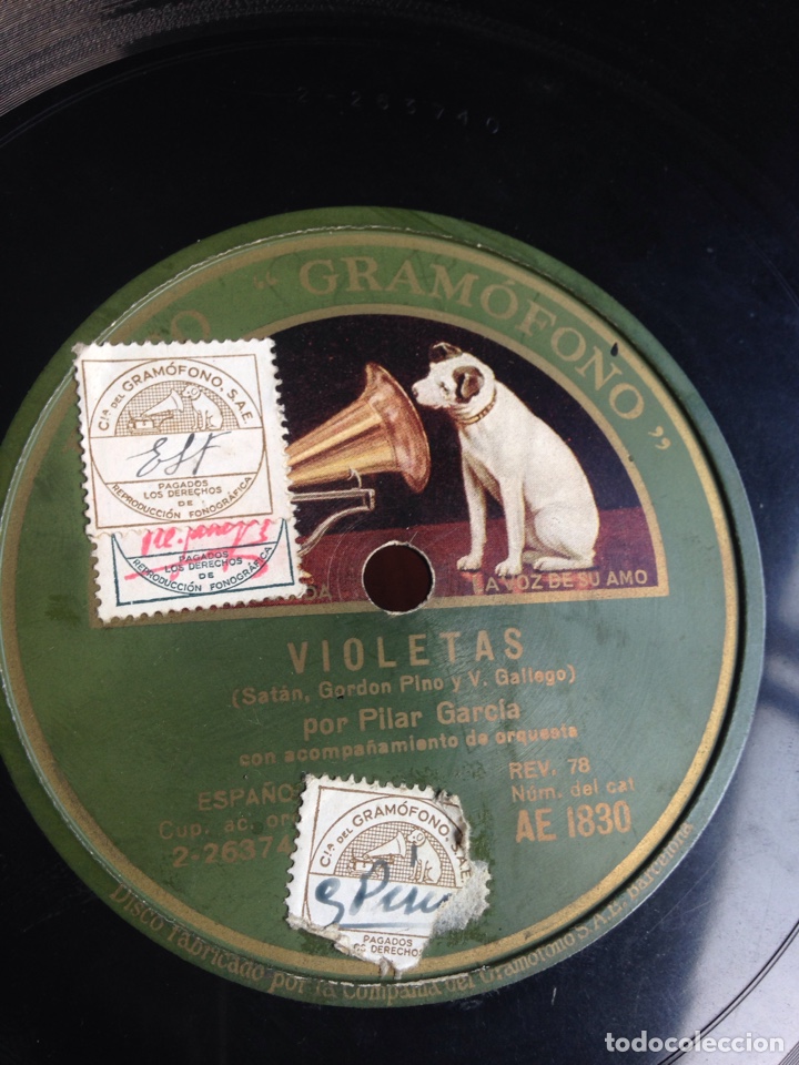 Discos de pizarra: Violetas por pilar garcia - Foto 1