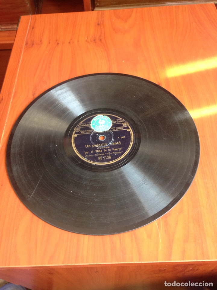 Discos de pizarra: Un pajarito canto ni&ntilde;o de la huerta - Foto 2