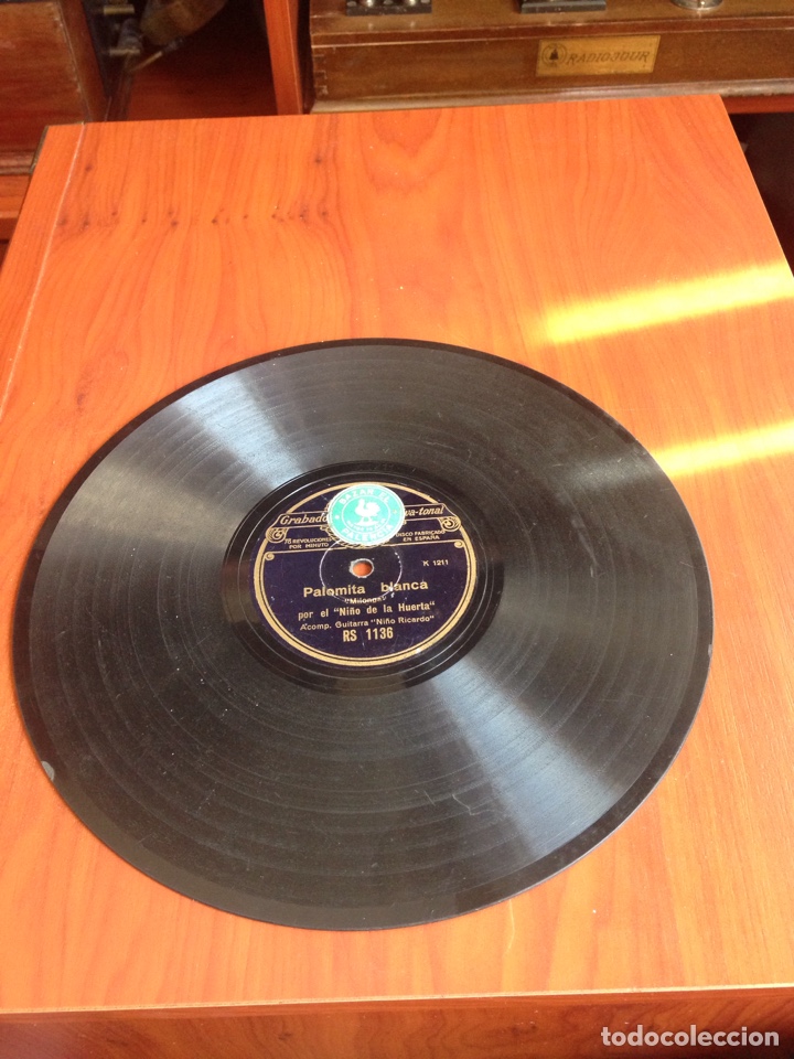 Discos de pizarra: Un pajarito canto ni&ntilde;o de la huerta - Foto 4