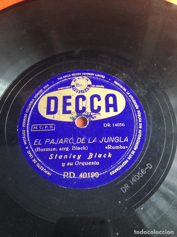 Discos de pizarra: El p&aacute;jaro de la jungla Stanley black - Foto 1