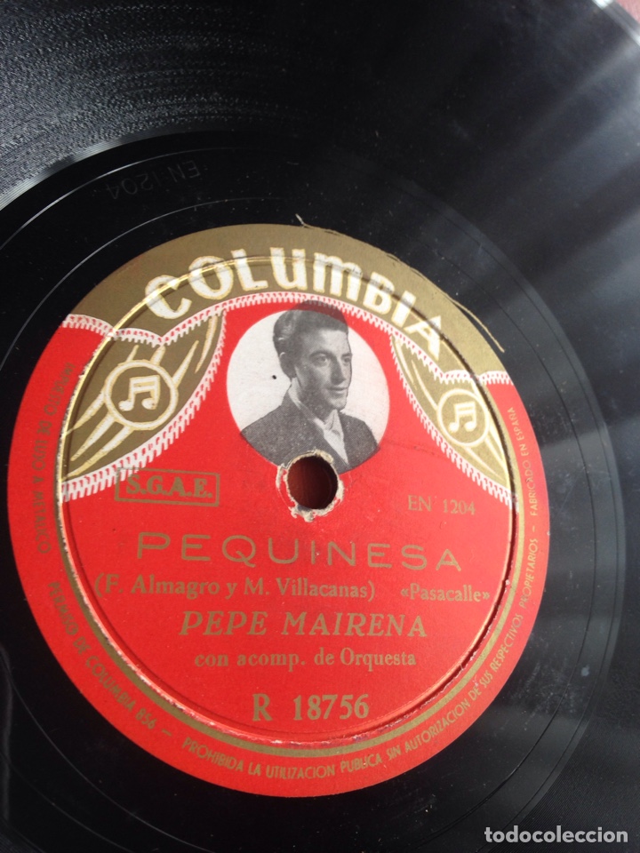 Discos de pizarra: Pequinesa Pepe mairena - Foto 1