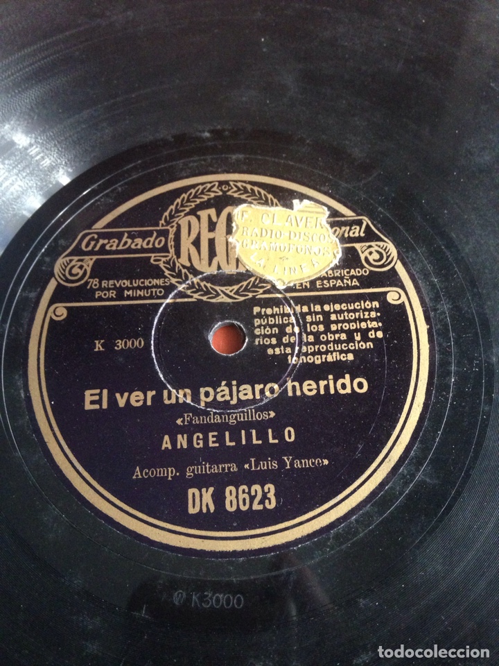 Discos de pizarra: El ver un p&aacute;jaro herido angelillo - Foto 1