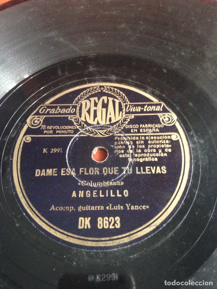 Discos de pizarra: El ver un p&aacute;jaro herido angelillo - Foto 4