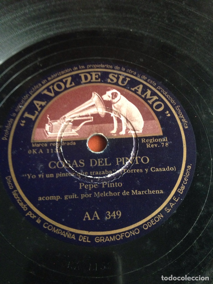Discos de pizarra: Cosas del pinto Pepe pinto - Foto 1