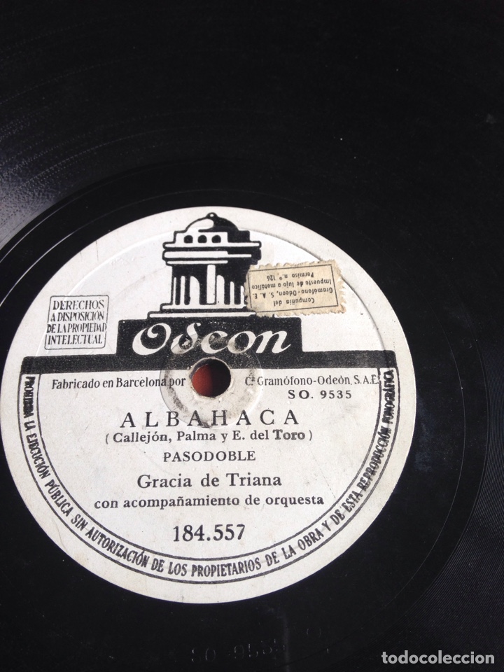 Discos de pizarra: Albahaca gracia de Triana - Foto 1