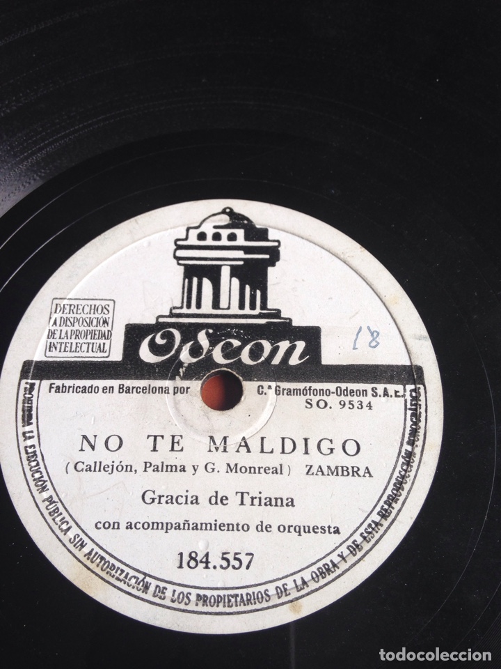 Discos de pizarra: Albahaca gracia de Triana - Foto 3