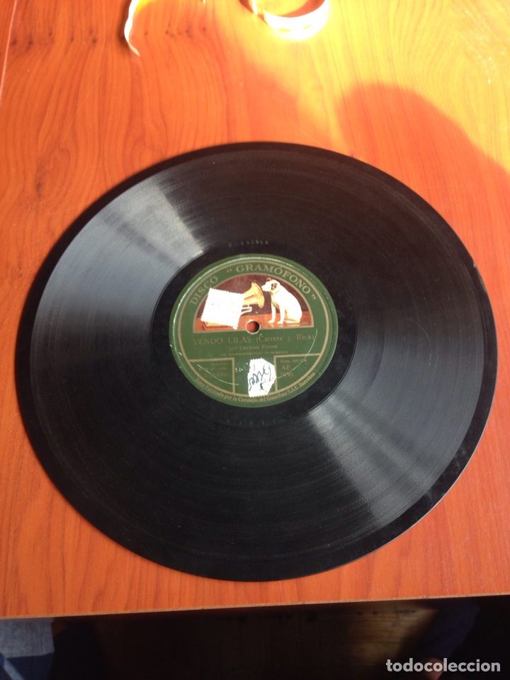 Discos de pizarra: La del refajo Carmen flores - Foto 4